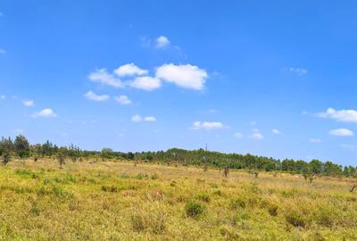 9 ac Commercial Land at Ruiru - 2