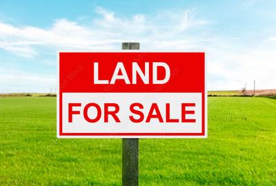 0.5 ac Land at Windy Ridge