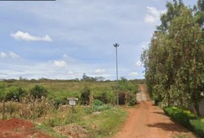 0.5 ac Land at Duom Palm Street