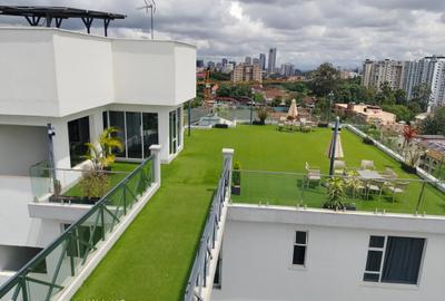 1 Bed Apartment with Swimming Pool at Rhapta Road - 2