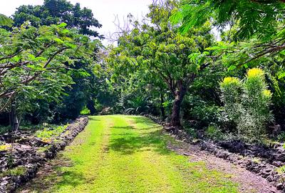 4 Bed House with En Suite at Kuruwitu Beach - 4