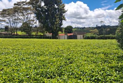 1 ac Residential Land at Limuru Girls High School - 3