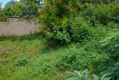 1.0 ac Land at Kandara Road