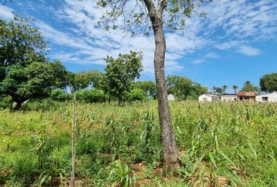 500 m² Land at Tezo - 2