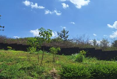 0.125 ac Residential Land at Runda - 4