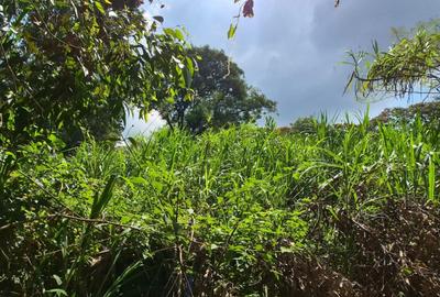 Commercial Land in Kitisuru - 2