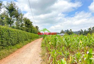 0.05 ha Land in Limuru - 2
