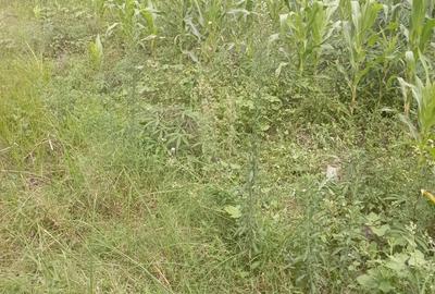 Land in Ngong - 4
