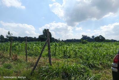 Land at Tigoni - 4