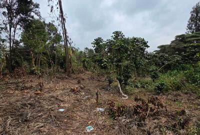 Land at Kiambu - 3