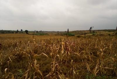 Land at Manira Trail - 3