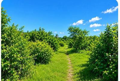 Commercial Land in Malindi