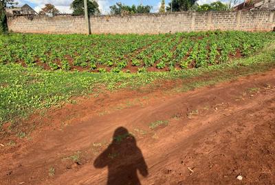 25 ac Land in Kitisuru - 2