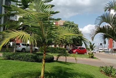 2 Bed Apartment in Tatu City - 3