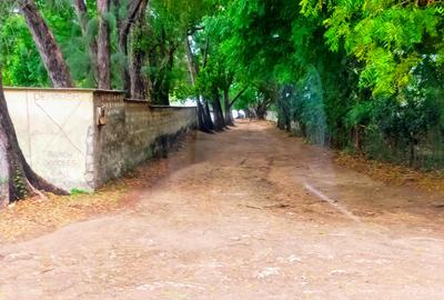40 ac Land at Vipingo Kuruwitu - 4