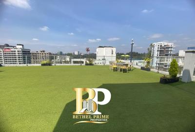 3 Bed Apartment with En Suite in Rhapta Road - 4