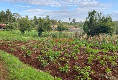 4,000 m² Land in Limuru - 4