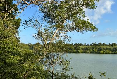 Land in Mtwapa - 3
