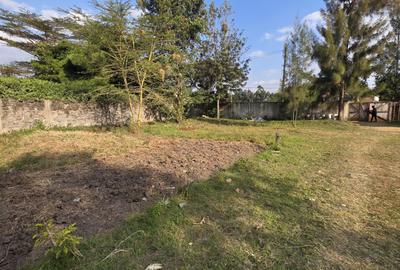 Land in Karen - 3
