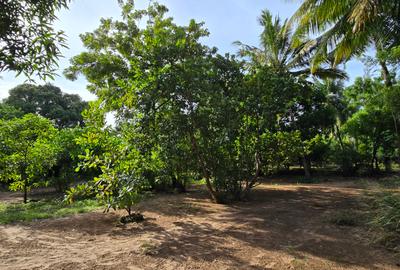 1 ac Land at Kikambala - 3
