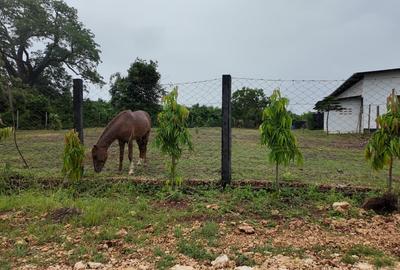Land in Diani - 3