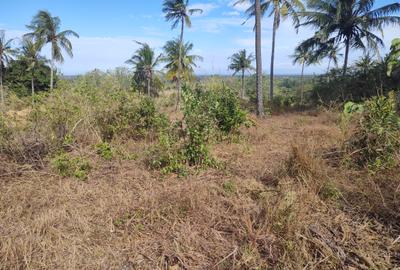 1,450 ac Land at Mabokoni - 2