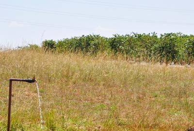 0.125 ac Residential Land in Juja - 4