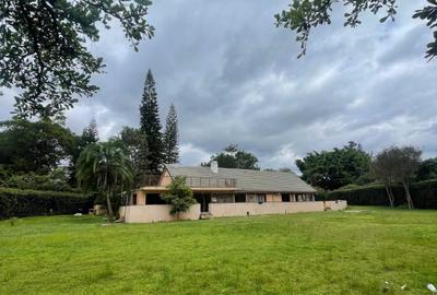 0.75 ac Commercial Property at Lavington - 4