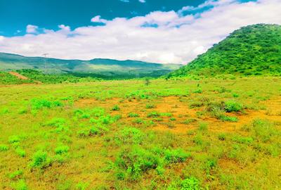 500 m² Residential Land at Ndiuni - 2