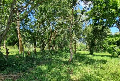 25 ac Land at Mtwapa - 3