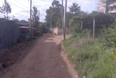 0.25 ac Commercial Land at Maasai Lodge Road - 3