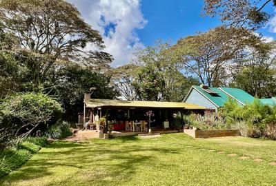 3 Bed House with En Suite in Karen - 2