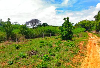 16,187.44 m² Land at Kilifi Bofa Beach Road - 3