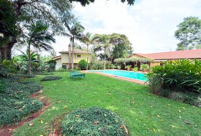 Commercial Property with Parking in Lavington - 3