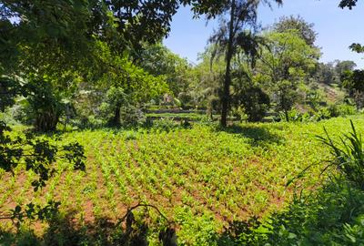 Land in Kitisuru