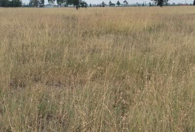 Land in Katani - 3