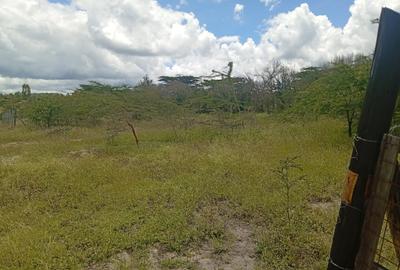 0.125 ac Land at Kyumvi Junction - 3