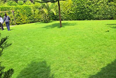 3 Bed Townhouse with En Suite at Kiambu Road - 4