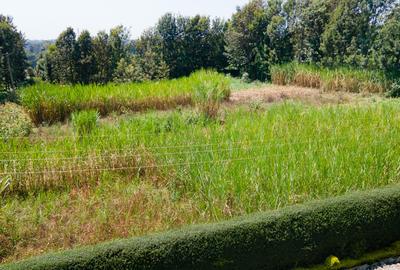1 ac Land in Karen