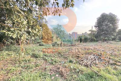 1.25 ac Land at White House Wangige - 3