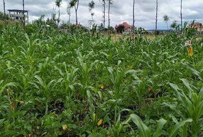 0.125 ac Residential Land at Kitengela Milimani - 2