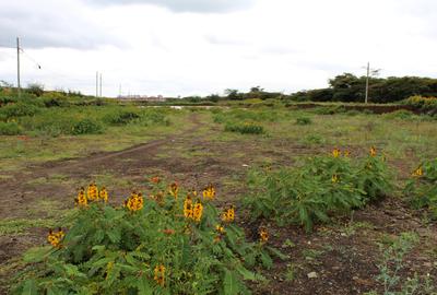 0.5 ac Residential Land in Langata - 3