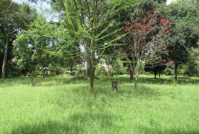 Land at Koitobos Rd - 3