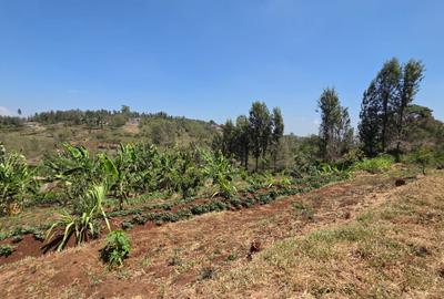 Land in Ngong - 4