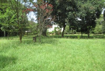 Residential Land at Koitobos Rd - 2