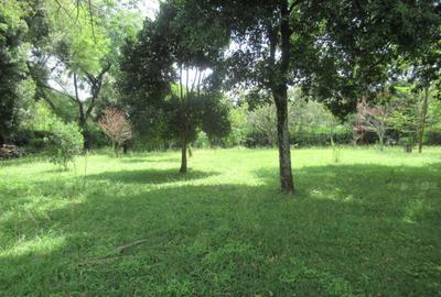 Land at Koitobos Rd - 4