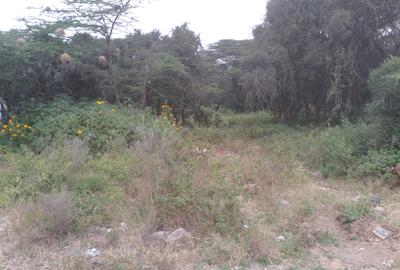 0.25 ac Residential Land at Maasai Lodge Road - 4