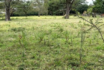 Land in Karen