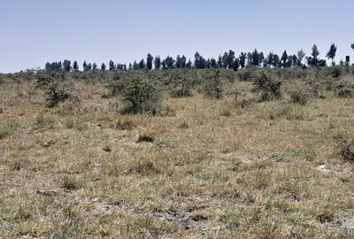 Commercial Land at Ebenezer Childrens Home