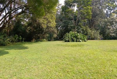 Land at Old Kitusuru Rd - 2